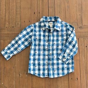 Hatley Blue Checkered dog print button down Kids Shirt